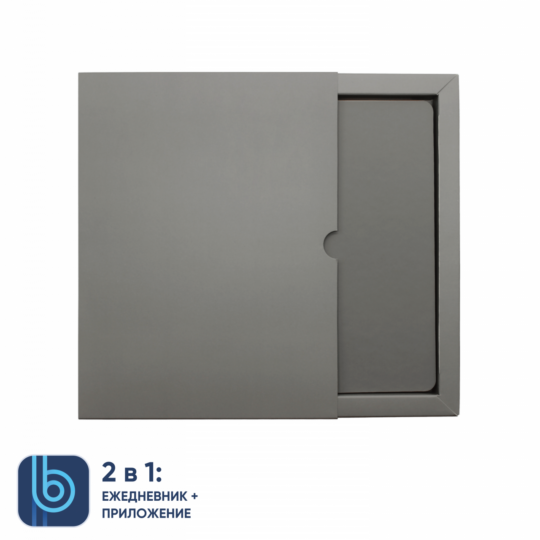 Ежедневник Bplanner.01 в подарочной коробке (серый)
